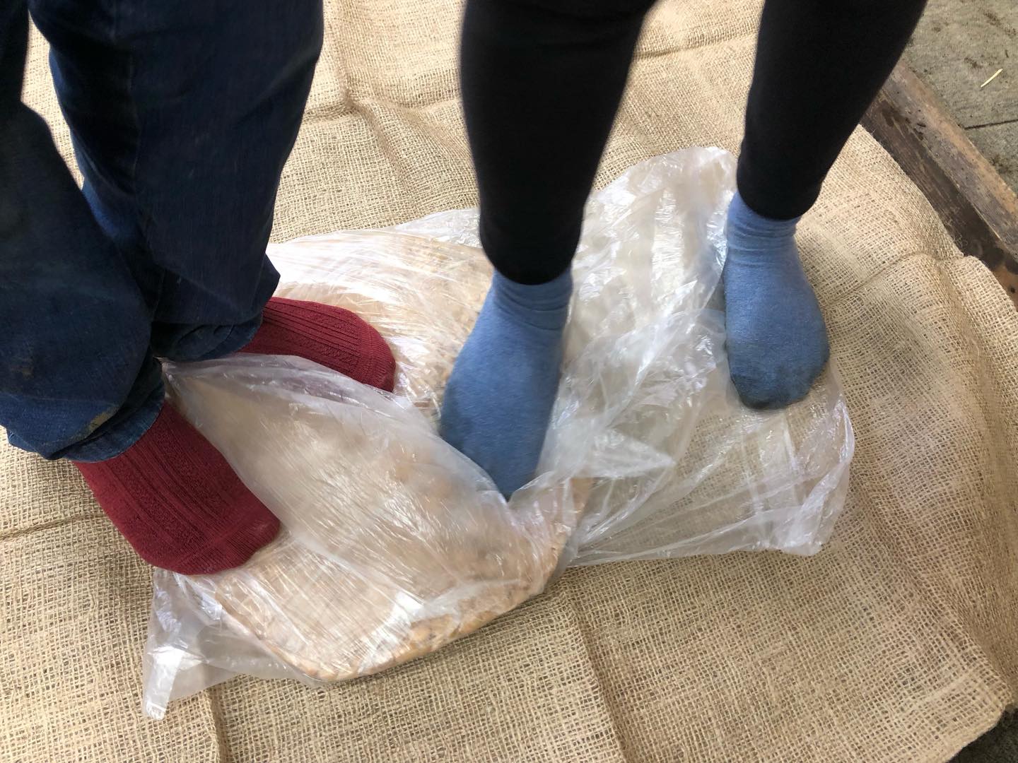 #こどもとみみずの研究所 

2月7日の活動

雪の舞う中、みそづくり！

#みみコンeco畑 
#味噌づくり